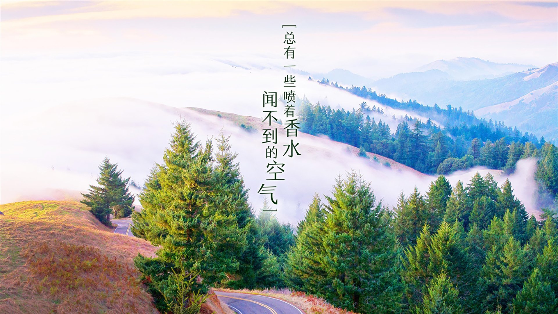 ATP终极测试,为什么纳达尔的巴黎完胜比任何美网都更具含金量?