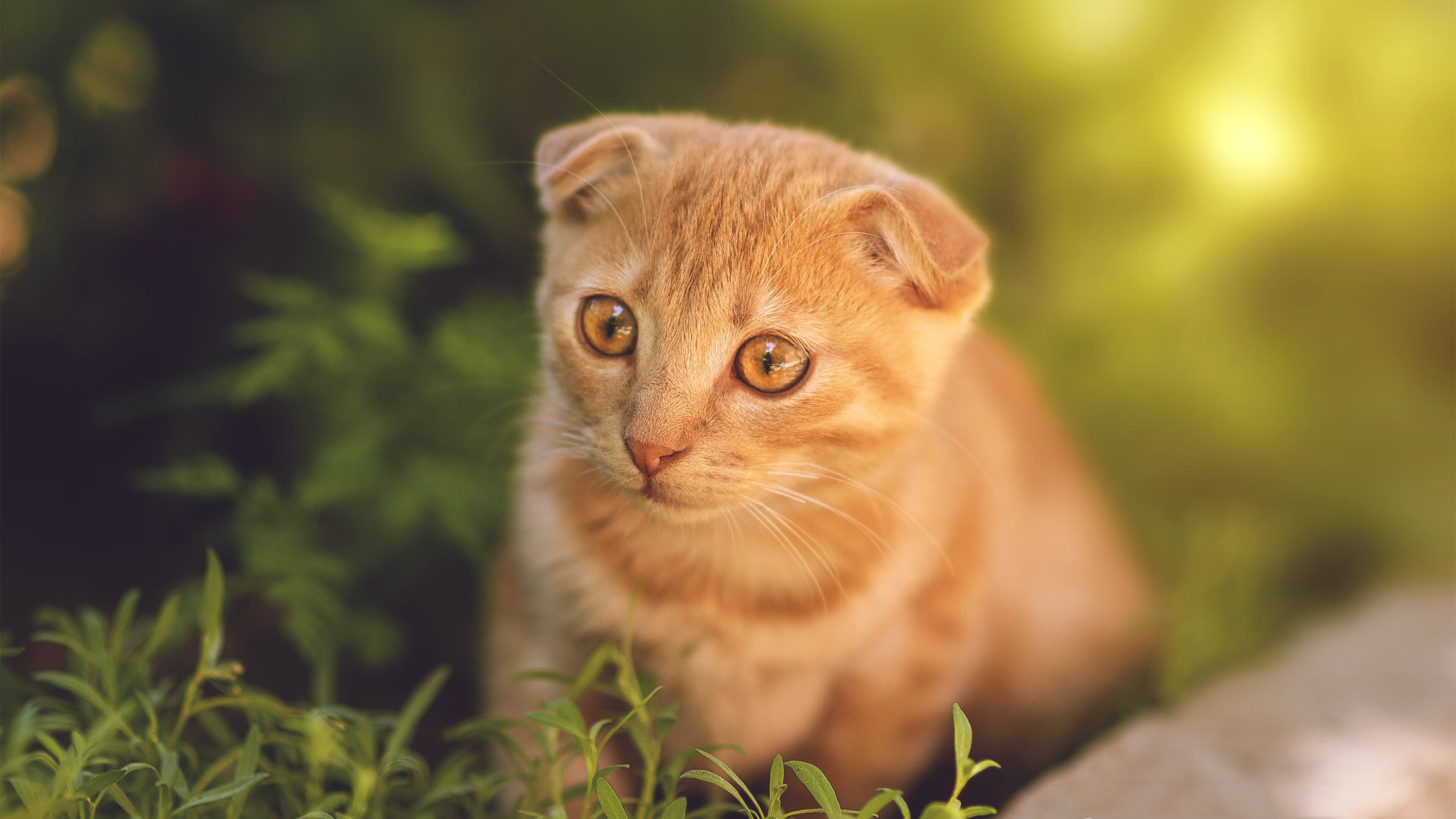 错位时空，阿圭罗在瑞士对阵那不勒斯的慈善赛中，完成压力下的最后一次证明