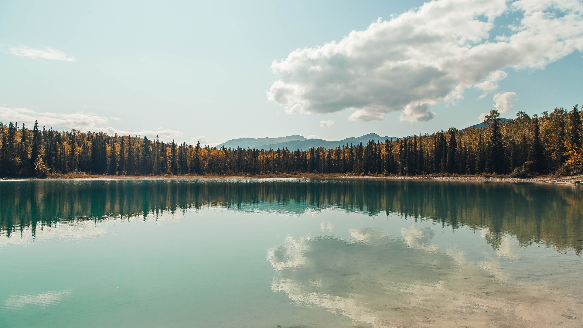 当哈利伯顿在达拉斯起舞,一场由掌控力主宰的胜利