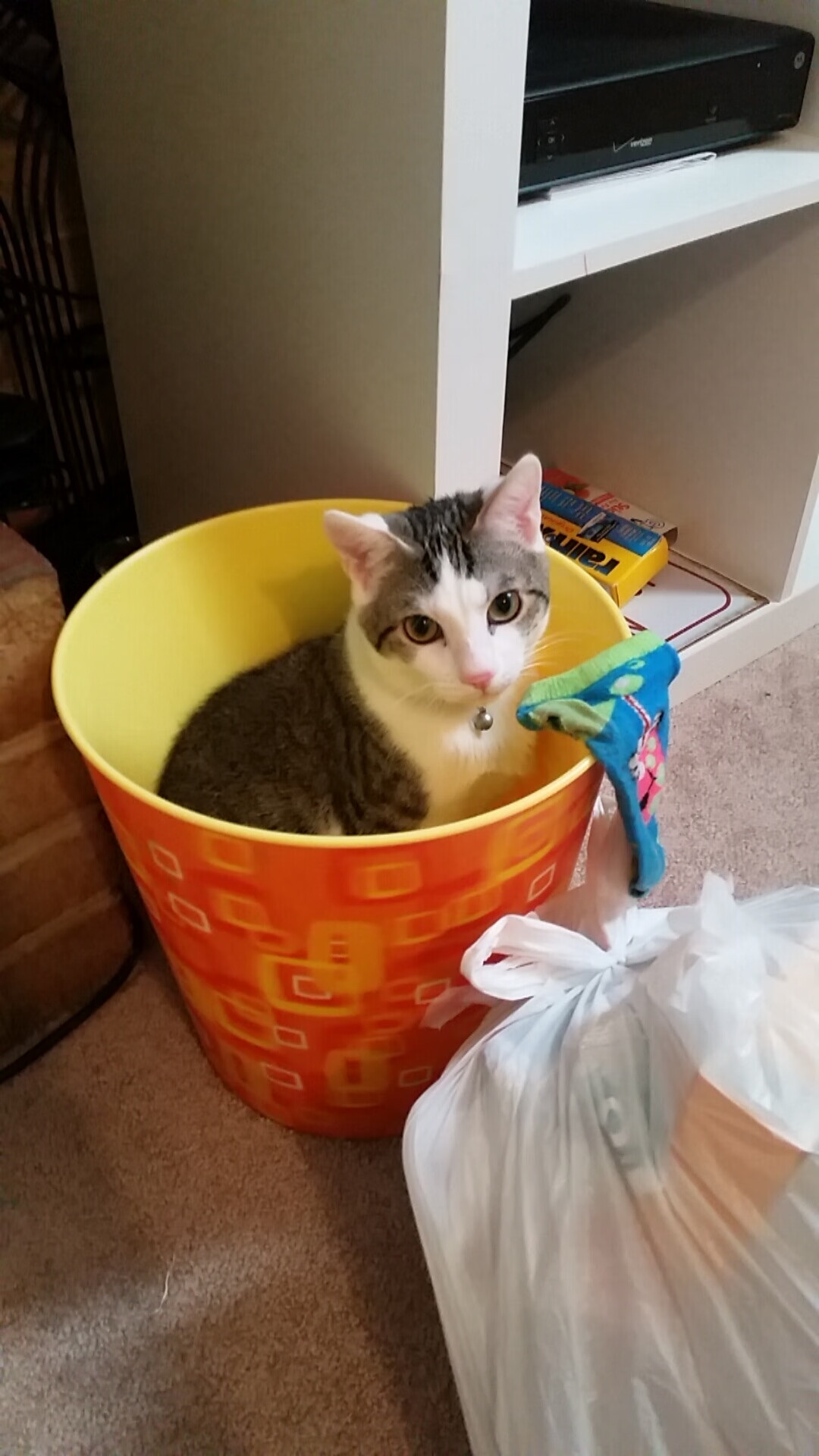 当哈利伯顿在达拉斯起舞,一场由掌控力主宰的胜利