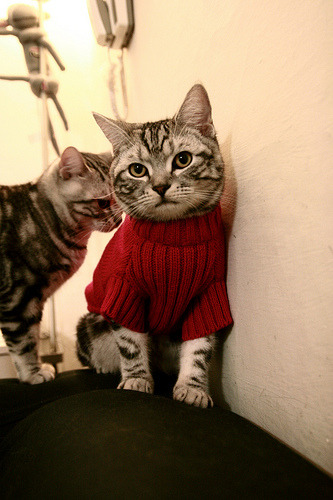 伊萨克一击定乾坤！挪威力克奥地利保留晋级希望