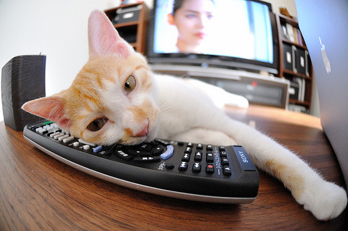 1.风暴之眼,阿什拉夫如何用无解走廊终结英超争冠悬念