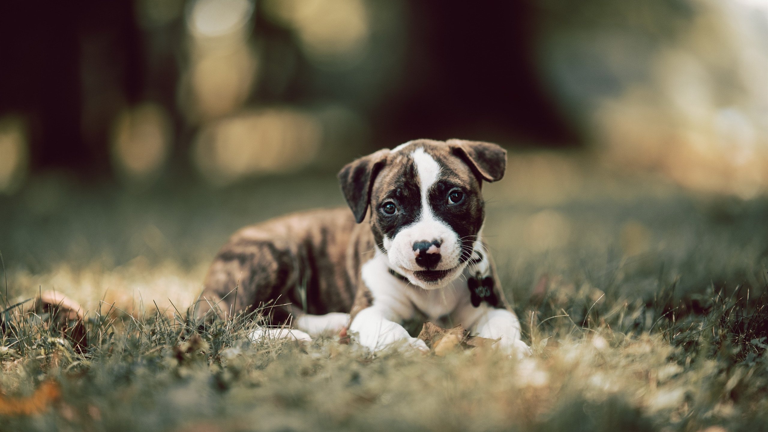 从足球场到篮球馆,格纳布里在NBA总决赛的跨界接管,哥斯达黎加碾压乌拉圭的余韵
