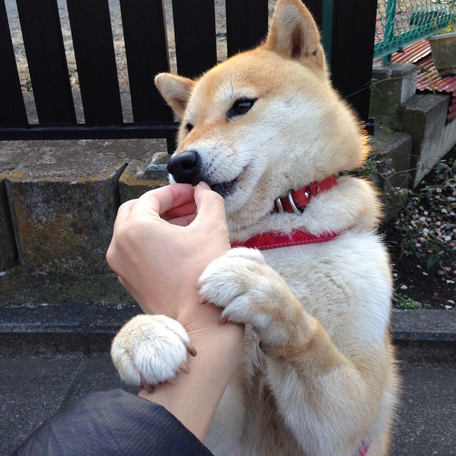 阿尔瓦雷斯的无解魔法，西班牙对阵智利中的唯一性传奇