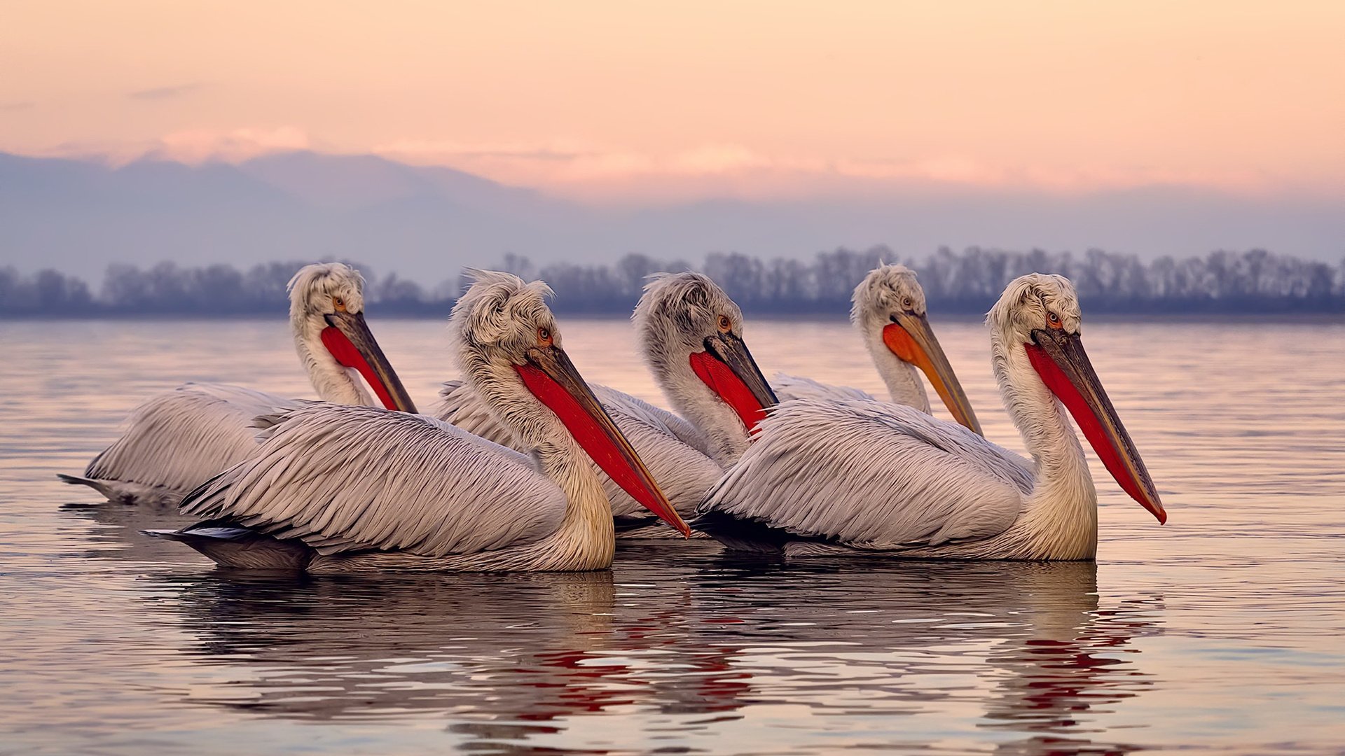 绝境英雄布鲁诺!埃及生死战逆袭南非,关键节点连斩两球定江山