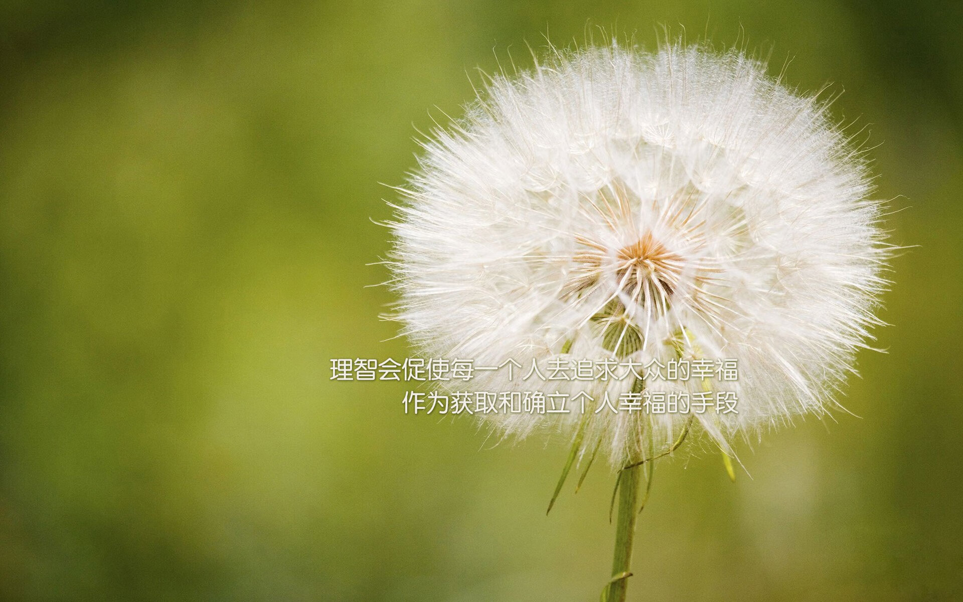 硬仗中的艺术，佛罗伦萨战术复盘，斯通斯一锤定音