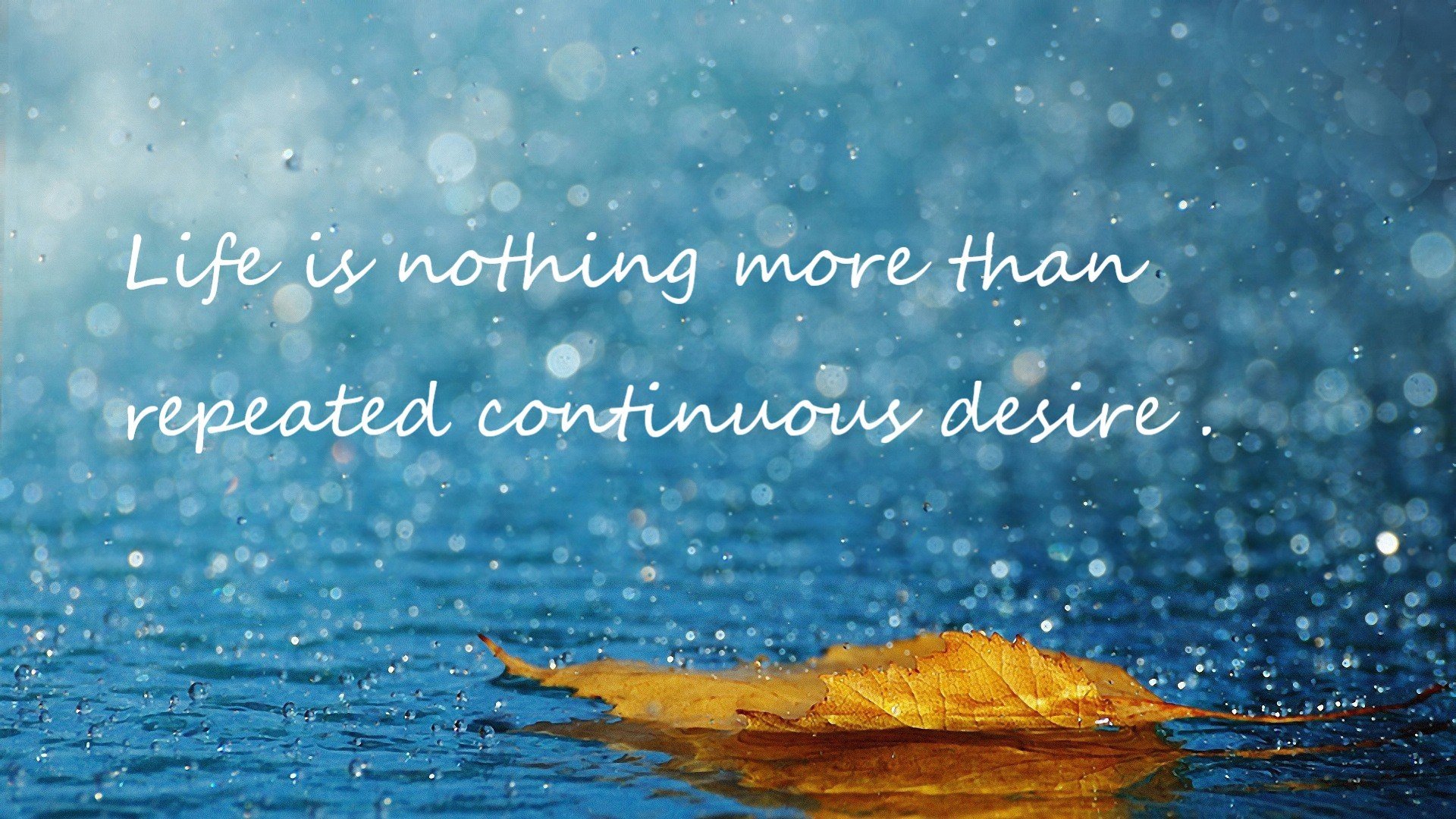 黑色黄金的闪光与蓝白风暴的逆转—劳塔罗率阿根廷破解卡塔尔窒息式压制