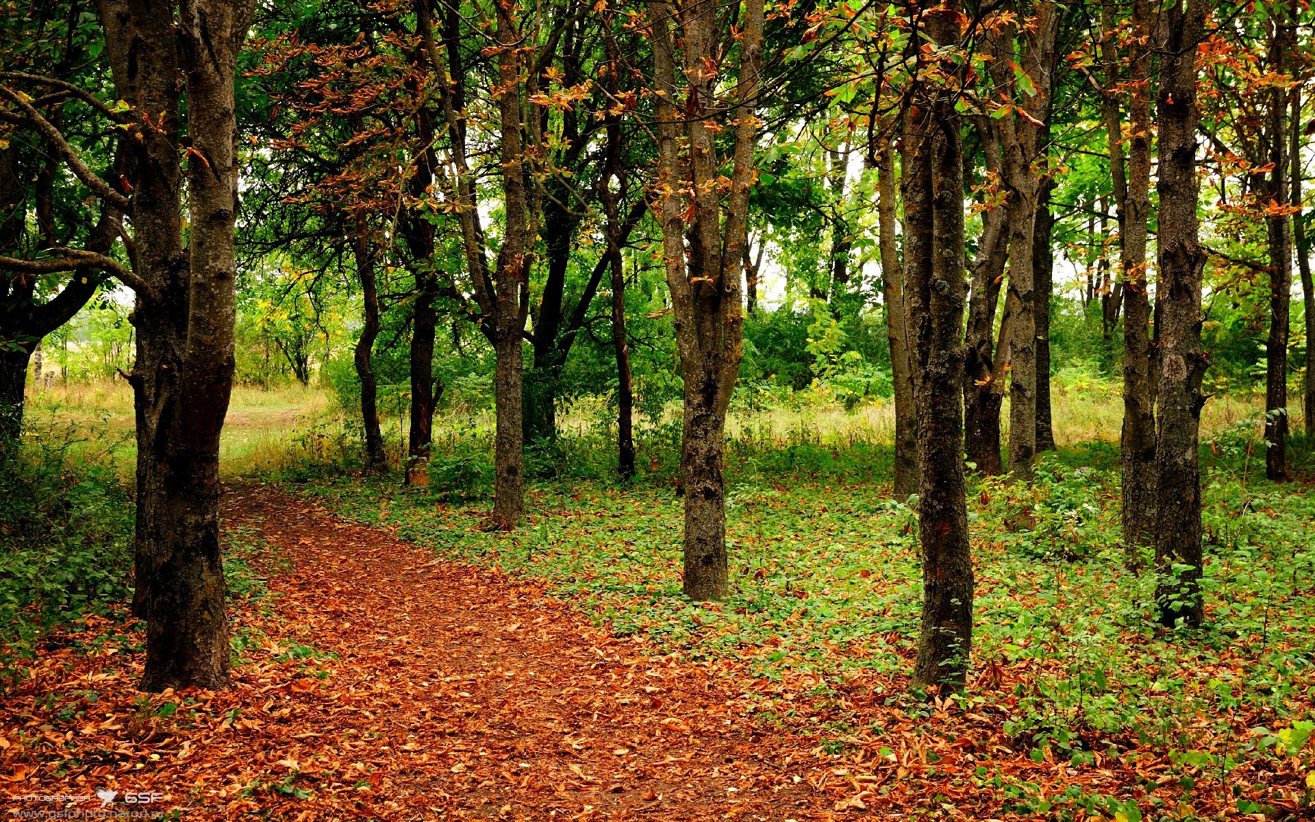 铁幕与雪山之间，当约基奇扛起丹佛，新疆撕碎洛杉矶的天空
