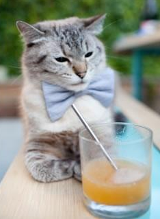 绿茵上的不落星辰,当苏亚雷斯化身黑星,一记倒钩穿越沙漠与雨林