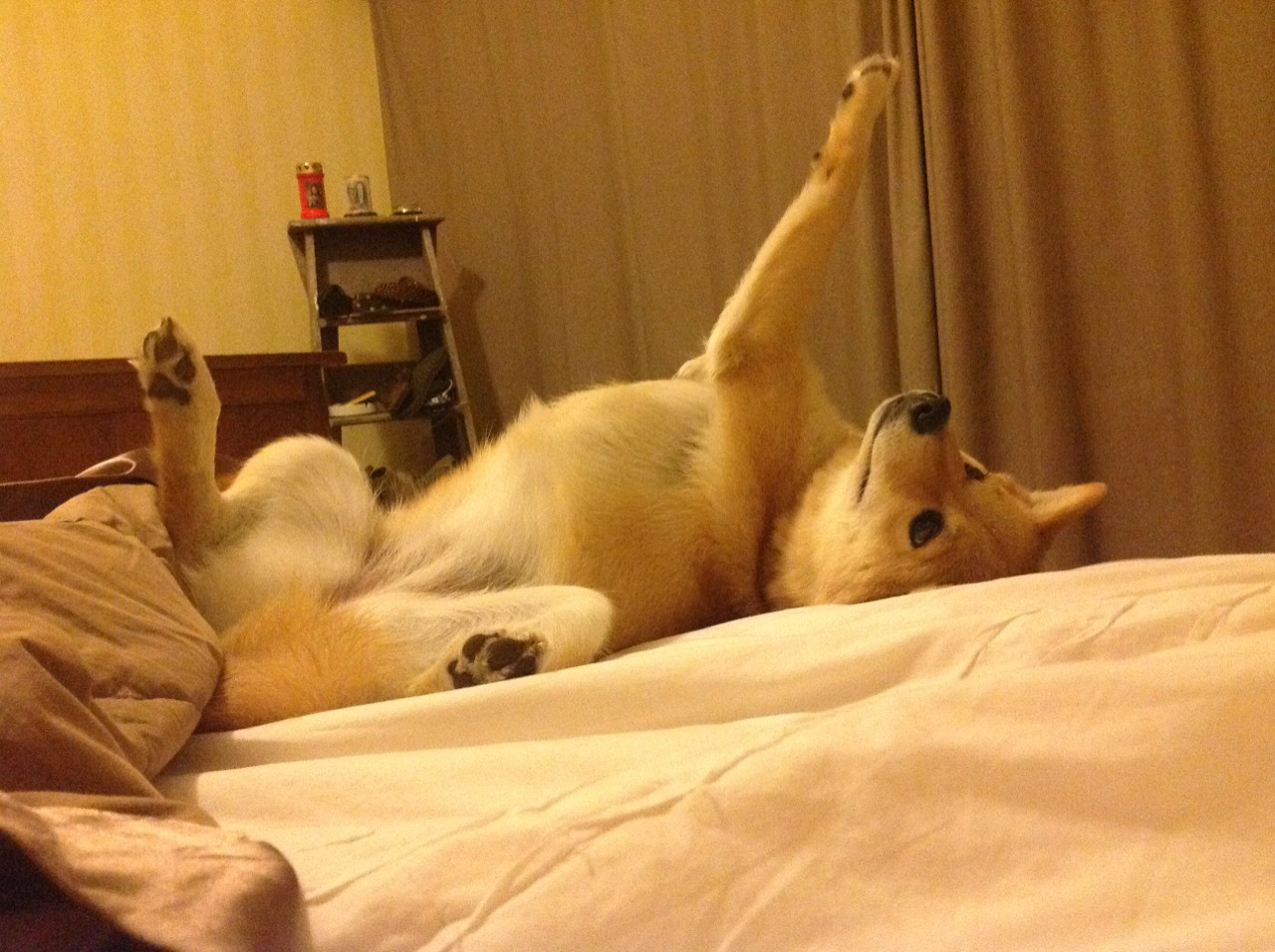 沙漠烽火遇北欧魔笛，厄德高连续破门，沙特与罗马的世纪对决