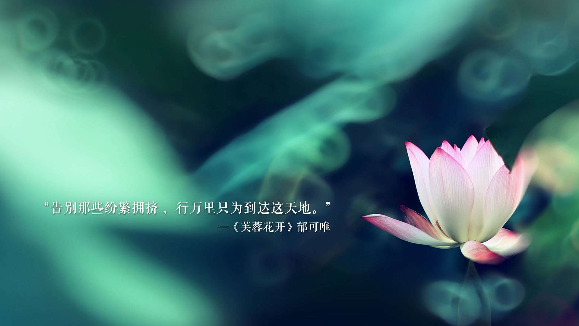 一球定乾坤,坎塞洛导演边缘博弈,荷兰临场变阵险胜罗马尼亚
