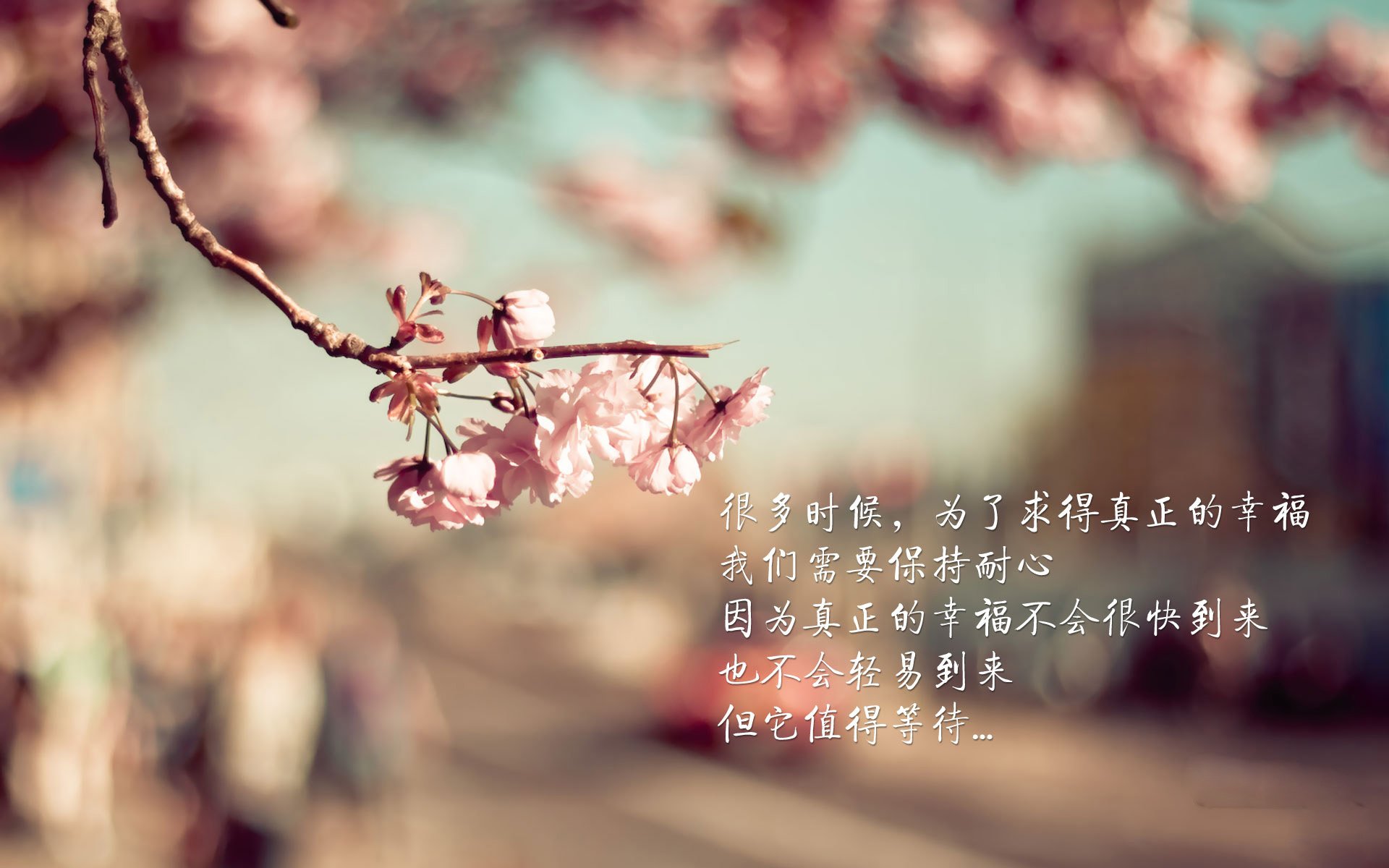 北欧海盗的孤注一掷，2026世界杯G组焦点战，巴雷拉如何导演挪威对英格兰的史诗级压制