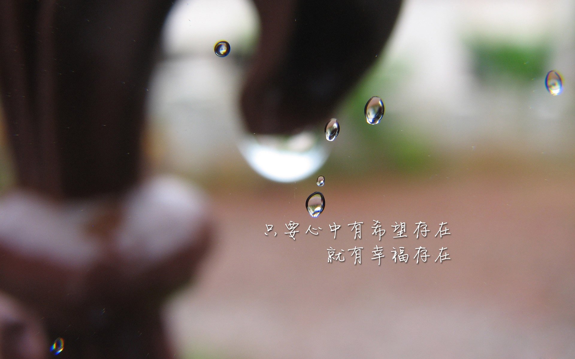 魔笛余音与东欧铁骑,布罗佐维奇导演2026世界杯C组最冷血一击,匈牙利横扫日本震惊足坛
