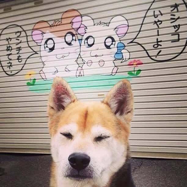 构思